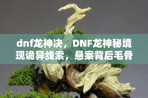 dnf龙神决,DNF龙神秘境现诡异线索,悬案背后毛骨悚然真相待揭! dnf龙神决,DNF龙神秘境现诡异线索,悬案背后毛骨悚然真相待揭!