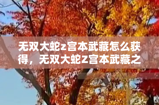 无双大蛇z宫本武藏怎么获得,无双大蛇Z宫本武藏之谜,血色刀光下的悬案与毛骨悚然真相 无双大蛇z宫本武藏怎么获得,无双大蛇Z宫本武藏之谜,血色刀光下的悬案与毛骨悚然真相