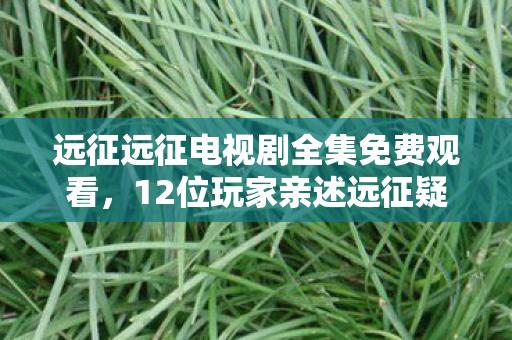 远征远征电视剧全集免费观看,12位玩家亲述远征疑云,当萌新撞上退坑大神,我差点笑到网吧键盘进水 远征远征电视剧全集免费观看,12位玩家亲述远征疑云,当萌新撞上退坑大神,我差点笑到网吧键盘进水