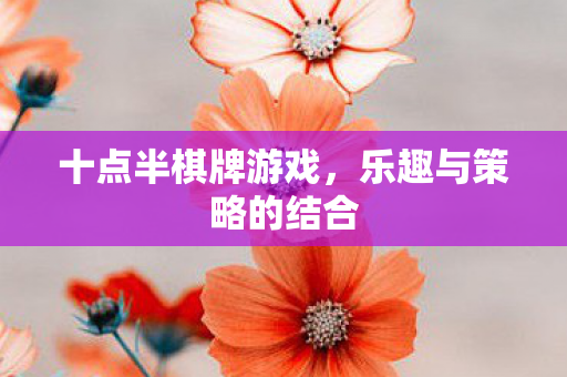 乐趣与策略的结合图片
