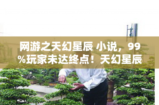 网游之天幻星辰 小说,99%玩家未达终点!天幻星辰暗藏的孤独,谁在深夜默默卸载? 网游之天幻星辰 小说,99%玩家未达终点!天幻星辰暗藏的孤独,谁在深夜默默卸载?