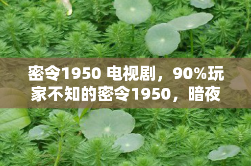 密令1950 电视剧,90%玩家不知的密令1950,暗夜里的光,为何成了扎心的刺? 密令1950 电视剧,90%玩家不知的密令1950,暗夜里的光,为何成了扎心的刺?