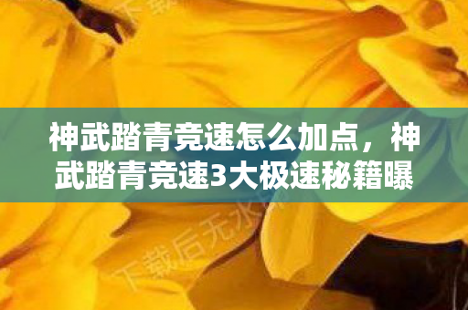 神武踏青竞速怎么加点,神武踏青竞速3大极速秘籍曝光!99%玩家错过的体验心得 神武踏青竞速怎么加点,神武踏青竞速3大极速秘籍曝光!99%玩家错过的体验心得