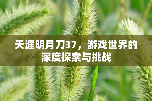 游戏世界的深度探索与挑战图片