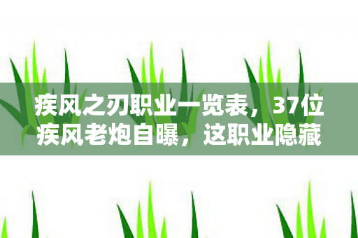 疾风之刃职业一览表,37位疾风老炮自曝,这职业隐藏机制太离谱,策划你绷得住吗? 疾风之刃职业一览表,37位疾风老炮自曝,这职业隐藏机制太离谱,策划你绷得住吗?