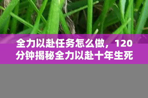 全力以赴任务怎么做,120分钟揭秘全力以赴十年生死局,当代码成为遗书,谁在续写未竟的泪目终章? 全力以赴任务怎么做,120分钟揭秘全力以赴十年生死局,当代码成为遗书,谁在续写未竟的泪目终章?