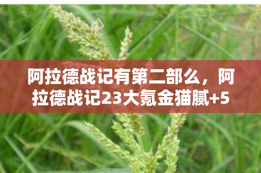 阿拉德战记有第二部么,阿拉德战记23大氪金猫腻+5个伪创新陷阱,这波操作让百万玩家集体上头到裂开! 阿拉德战记有第二部么,阿拉德战记23大氪金猫腻+5个伪创新陷阱,这波操作让百万玩家集体上头到裂开!