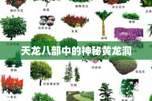 天龙八部中的神秘黄龙洞图片