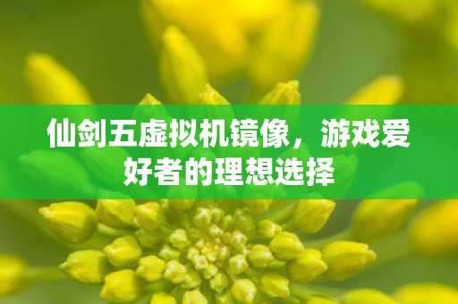 游戏爱好者的理想选择图片