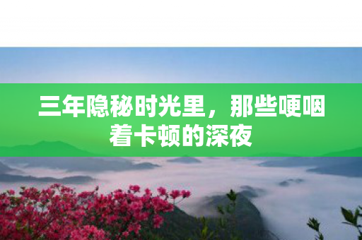 三年隐秘时光里,那些哽咽着卡顿的深夜 三年隐秘时光里,那些哽咽着卡顿的深夜