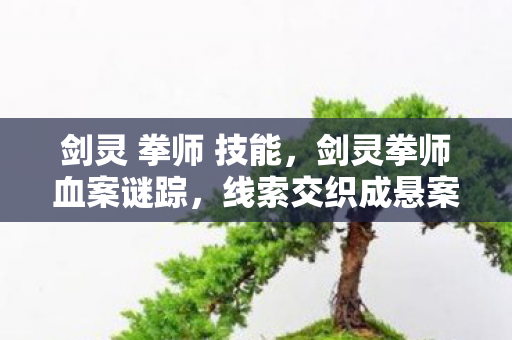 剑灵 拳师 技能,剑灵拳师血案谜踪,线索交织成悬案,毛骨悚然真相待揭 剑灵 拳师 技能,剑灵拳师血案谜踪,线索交织成悬案,毛骨悚然真相待揭