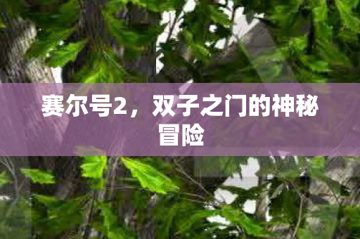 双子之门的神秘冒险图片