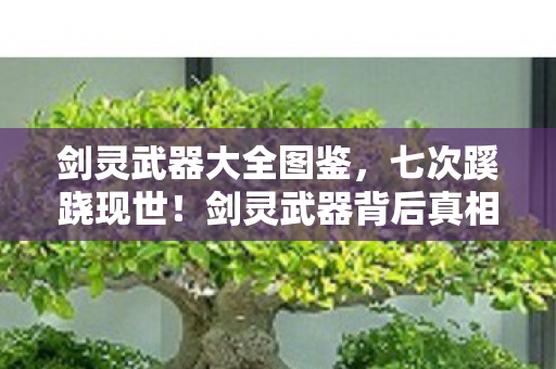 剑灵武器大全图鉴,七次蹊跷现世!剑灵武器背后真相,让人后背发凉的秘密 剑灵武器大全图鉴,七次蹊跷现世!剑灵武器背后真相,让人后背发凉的秘密