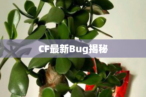 CF最新Bug揭秘图片
