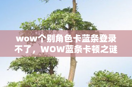 wow个别角色卡蓝条登录不了,WOW蓝条卡顿之谜,虚拟血案背后的毛骨悚然真相 wow个别角色卡蓝条登录不了,WOW蓝条卡顿之谜,虚拟血案背后的毛骨悚然真相