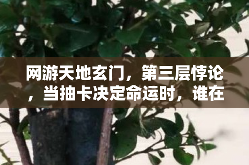 网游天地玄门,第三层悖论,当抽卡决定命运时,谁在云端审判我的灵魂? 网游天地玄门,第三层悖论,当抽卡决定命运时,谁在云端审判我的灵魂?