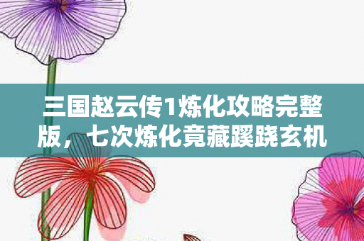 三国赵云传1炼化攻略完整版,七次炼化竟藏蹊跷玄机,背后真相让人后背发凉! 三国赵云传1炼化攻略完整版,七次炼化竟藏蹊跷玄机,背后真相让人后背发凉!