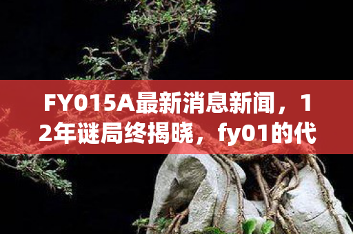 FY015A最新消息新闻,12年谜局终揭晓,fy01的代码坟场为何泪目? FY015A最新消息新闻,12年谜局终揭晓,fy01的代码坟场为何泪目?