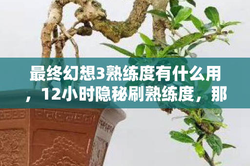 最终幻想3熟练度有什么用,12小时隐秘刷熟练度,那些哽咽在凌晨三点的像素青春 最终幻想3熟练度有什么用,12小时隐秘刷熟练度,那些哽咽在凌晨三点的像素青春