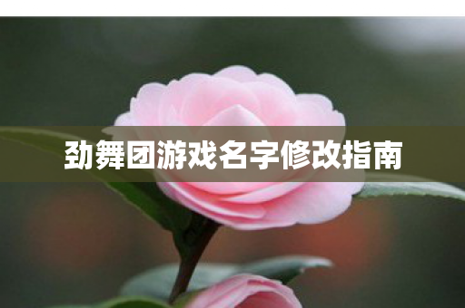 劲舞团游戏名字修改指南图片