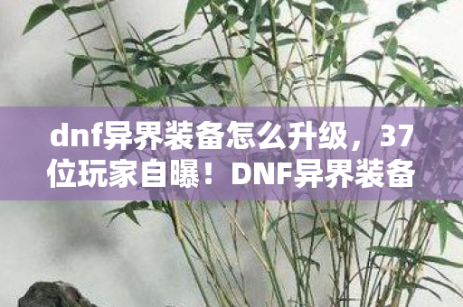 dnf异界装备怎么升级,37位玩家自曝!DNF异界装备疑云,那些年网吧里绷不住的眼泪与狂笑 dnf异界装备怎么升级,37位玩家自曝!DNF异界装备疑云,那些年网吧里绷不住的眼泪与狂笑