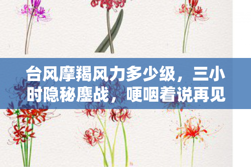 台风摩羯风力多少级,三小时隐秘鏖战,哽咽着说再见的摩羯风暴夜 台风摩羯风力多少级,三小时隐秘鏖战,哽咽着说再见的摩羯风暴夜