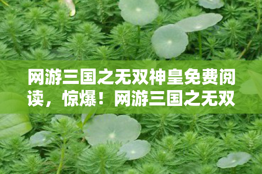 网游三国之无双神皇免费阅读,惊爆!网游三国之无双神皇99%玩家不知的逆天隐藏剧情! 网游三国之无双神皇免费阅读,惊爆!网游三国之无双神皇99%玩家不知的逆天隐藏剧情!