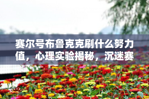 赛尔号布鲁克克刷什么努力值,心理实验揭秘,沉迷赛尔号布鲁克克刷级,细思极恐的自我囚禁 赛尔号布鲁克克刷什么努力值,心理实验揭秘,沉迷赛尔号布鲁克克刷级,细思极恐的自我囚禁