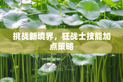 狂战士技能加点策略图片