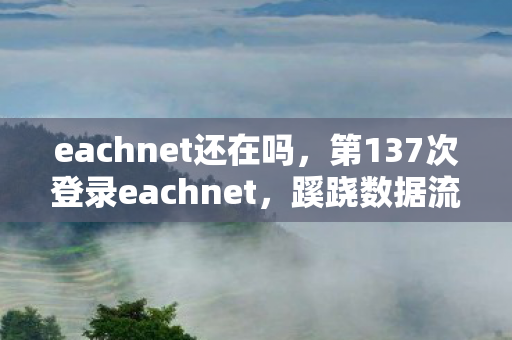 eachnet还在吗，第137次登录eachnet，蹊跷数据流里，后背发凉的十年逃亡真相