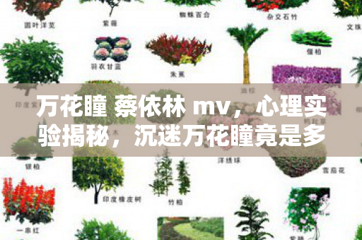 万花瞳 蔡依林 mv,心理实验揭秘,沉迷万花瞳竟是多巴胺的细思极恐陷阱? 万花瞳 蔡依林 mv,心理实验揭秘,沉迷万花瞳竟是多巴胺的细思极恐陷阱?