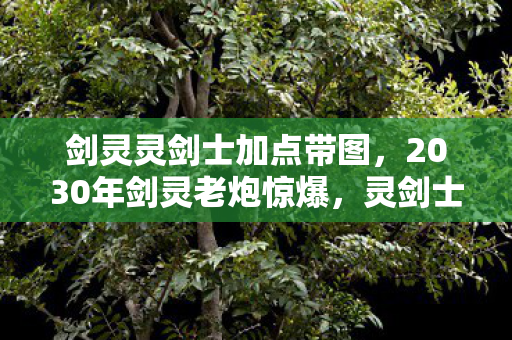 剑灵灵剑士加点带图,2030年剑灵老炮惊爆,灵剑士加点终极奥义竟藏惊天代价! 剑灵灵剑士加点带图,2030年剑灵老炮惊爆,灵剑士加点终极奥义竟藏惊天代价!