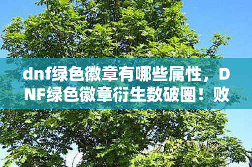 dnf绿色徽章有哪些属性,DNF绿色徽章衍生数破圈!败家玩家竟为它吃土到意想不到! dnf绿色徽章有哪些属性,DNF绿色徽章衍生数破圈!败家玩家竟为它吃土到意想不到!