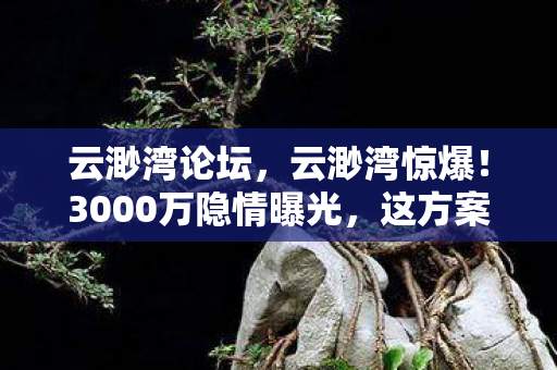 云渺湾论坛,云渺湾惊爆!3000万隐情曝光,这方案差点让公司吓一跳倒闭! 云渺湾论坛,云渺湾惊爆!3000万隐情曝光,这方案差点让公司吓一跳倒闭!