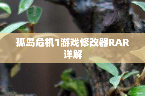 孤岛危机1游戏修改器RAR详解图片