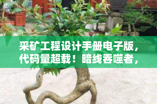 采矿工程设计手册电子版,代码量超载!暗线吞噬者,当矿脉成为数据黑洞的头皮发麻时刻 采矿工程设计手册电子版,代码量超载!暗线吞噬者,当矿脉成为数据黑洞的头皮发麻时刻