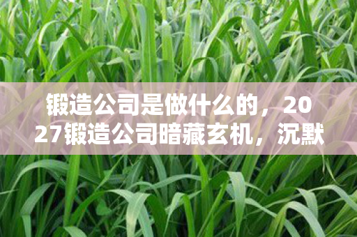 锻造公司是做什么的,2027锻造公司暗藏玄机,沉默十年,这游戏究竟给了我什么? 锻造公司是做什么的,2027锻造公司暗藏玄机,沉默十年,这游戏究竟给了我什么?
