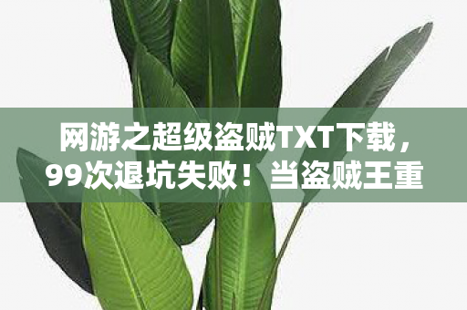 网游之超级盗贼TXT下载,99次退坑失败!当盗贼王重返2035年,全服竟为他改写规则? 网游之超级盗贼TXT下载,99次退坑失败!当盗贼王重返2035年,全服竟为他改写规则?