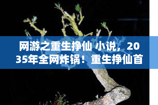网游之重生挣仙 小说,2035年全网炸锅!重生挣仙首测玩家99%暴毙,第100人竟触发神级隐藏? 网游之重生挣仙 小说,2035年全网炸锅!重生挣仙首测玩家99%暴毙,第100人竟触发神级隐藏?