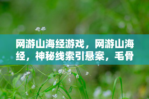 网游山海经游戏,网游山海经,神秘线索引悬案,毛骨悚然十年困局 网游山海经游戏,网游山海经,神秘线索引悬案,毛骨悚然十年困局