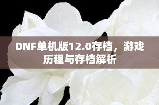 游戏历程与存档解析图片