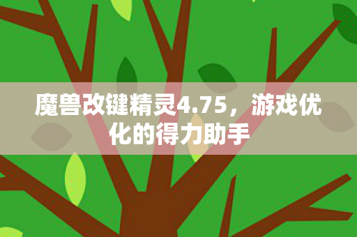 游戏优化的得力助手图片