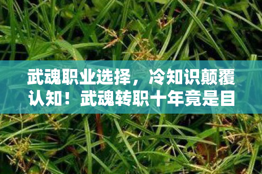 武魂职业选择，冷知识颠覆认知！武魂转职十年竟是目瞪口呆的自我处刑现场