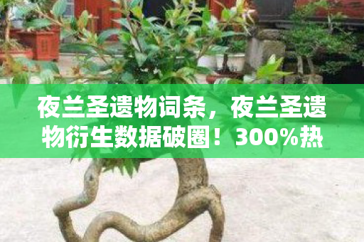 夜兰圣遗物词条，夜兰圣遗物衍生数据破圈！300%热度引爆音乐时尚双圈层