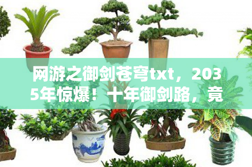 网游之御剑苍穹txt,2035年惊爆!十年御剑路,竟藏着颠覆认知的终极真相? 网游之御剑苍穹txt,2035年惊爆!十年御剑路,竟藏着颠覆认知的终极真相?