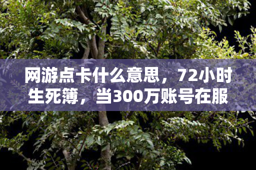 网游点卡什么意思,72小时生死簿,当300万账号在服务器里集体猝死 网游点卡什么意思,72小时生死簿,当300万账号在服务器里集体猝死