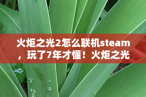 火炬之光2怎么联机steam,玩了7年才懂!火炬之光2联机竟有3种隐藏模式?选错毁所有! 火炬之光2怎么联机steam,玩了7年才懂!火炬之光2联机竟有3种隐藏模式?选错毁所有!