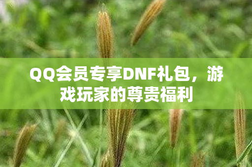 QQ会员专享DNF礼包图片