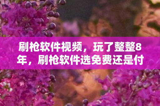 刷枪软件视频,玩了整整8年,刷枪软件选免费还是付费?这纠结让我彻夜难眠! 刷枪软件视频,玩了整整8年,刷枪软件选免费还是付费?这纠结让我彻夜难眠!