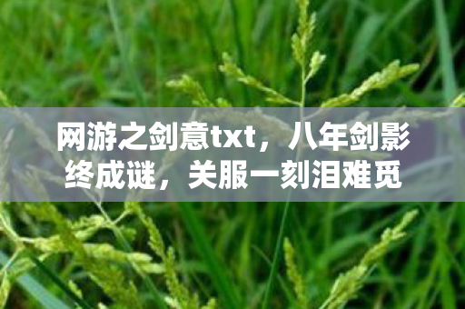 网游之剑意txt,八年剑影终成谜,关服一刻泪难觅 网游之剑意txt,八年剑影终成谜,关服一刻泪难觅